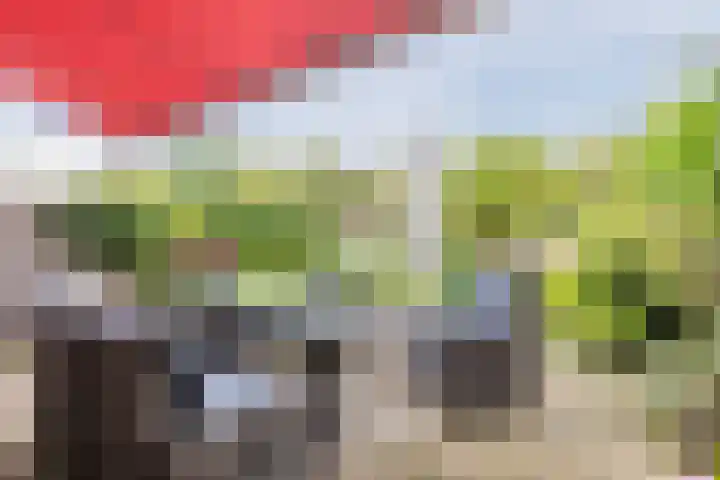 Zuwe 18 Bodegraven thumbnail 49