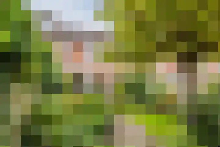 Zuwe 18 Bodegraven thumbnail 5