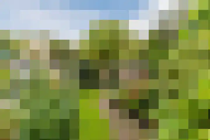 Zuwe 18 Bodegraven thumbnail 50