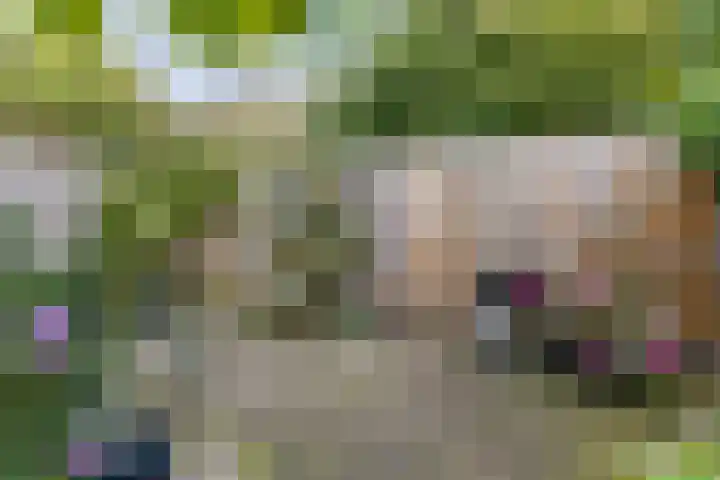 Zuwe 18 Bodegraven thumbnail 51