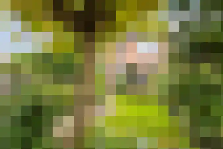 Zuwe 18 Bodegraven thumbnail 52