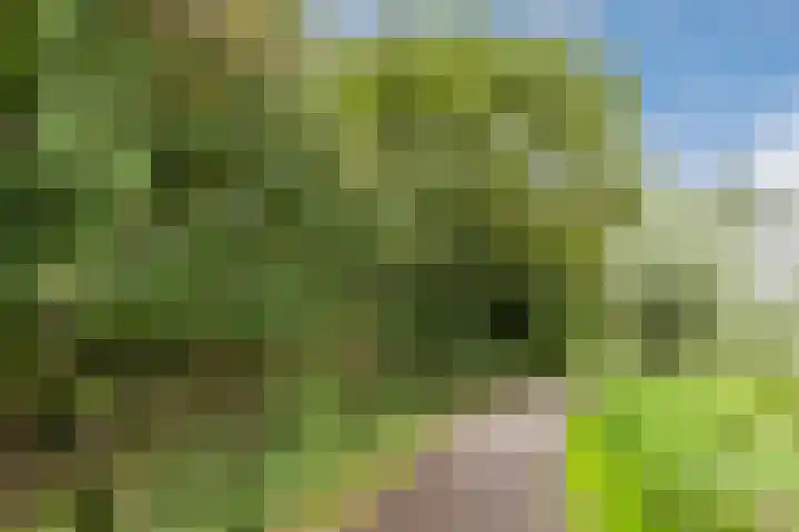 Zuwe 18 Bodegraven thumbnail 54