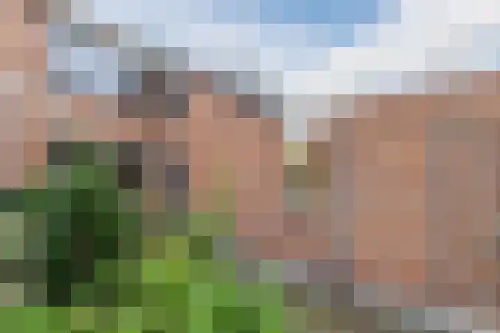 Zuwe 18 Bodegraven thumbnail 57