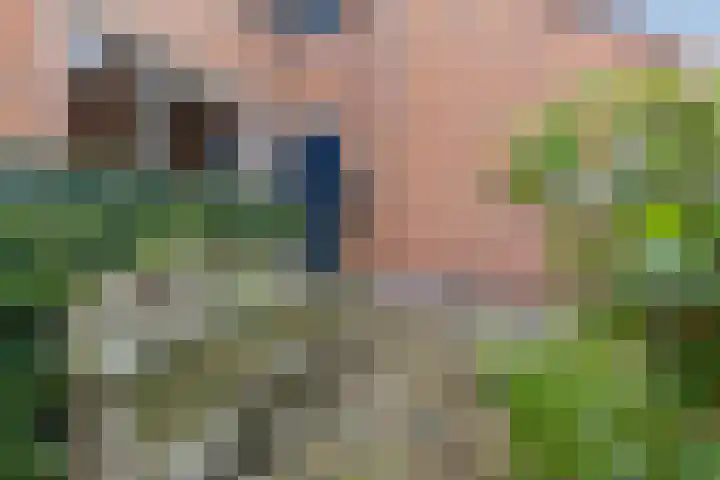 Zuwe 18 Bodegraven thumbnail 58