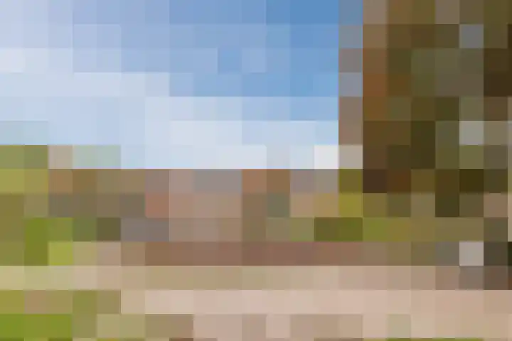 Zuwe 18 Bodegraven thumbnail 60