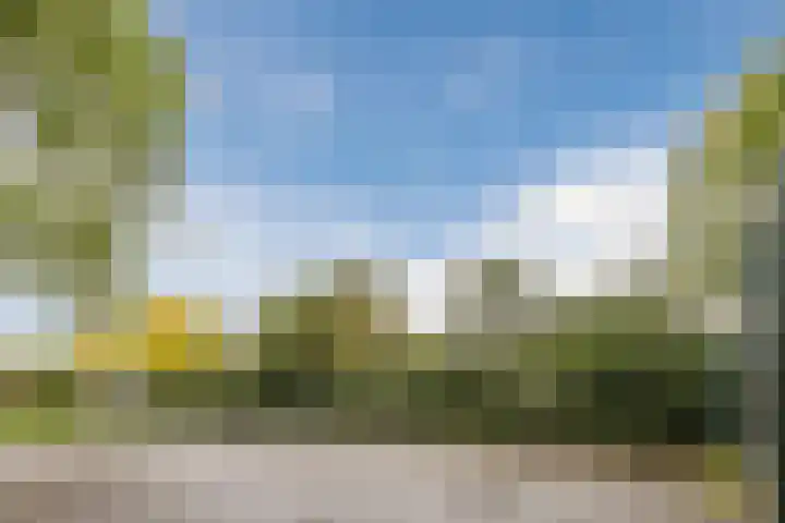 Zuwe 18 Bodegraven thumbnail 61