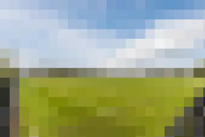 Zuwe 18 Bodegraven thumbnail 63