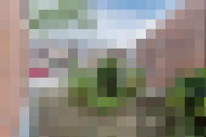 Zuwe 18 Bodegraven thumbnail 7