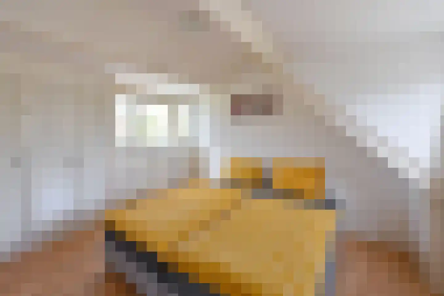 Zuwe 18 v Kortenhoef thumbnail 20
