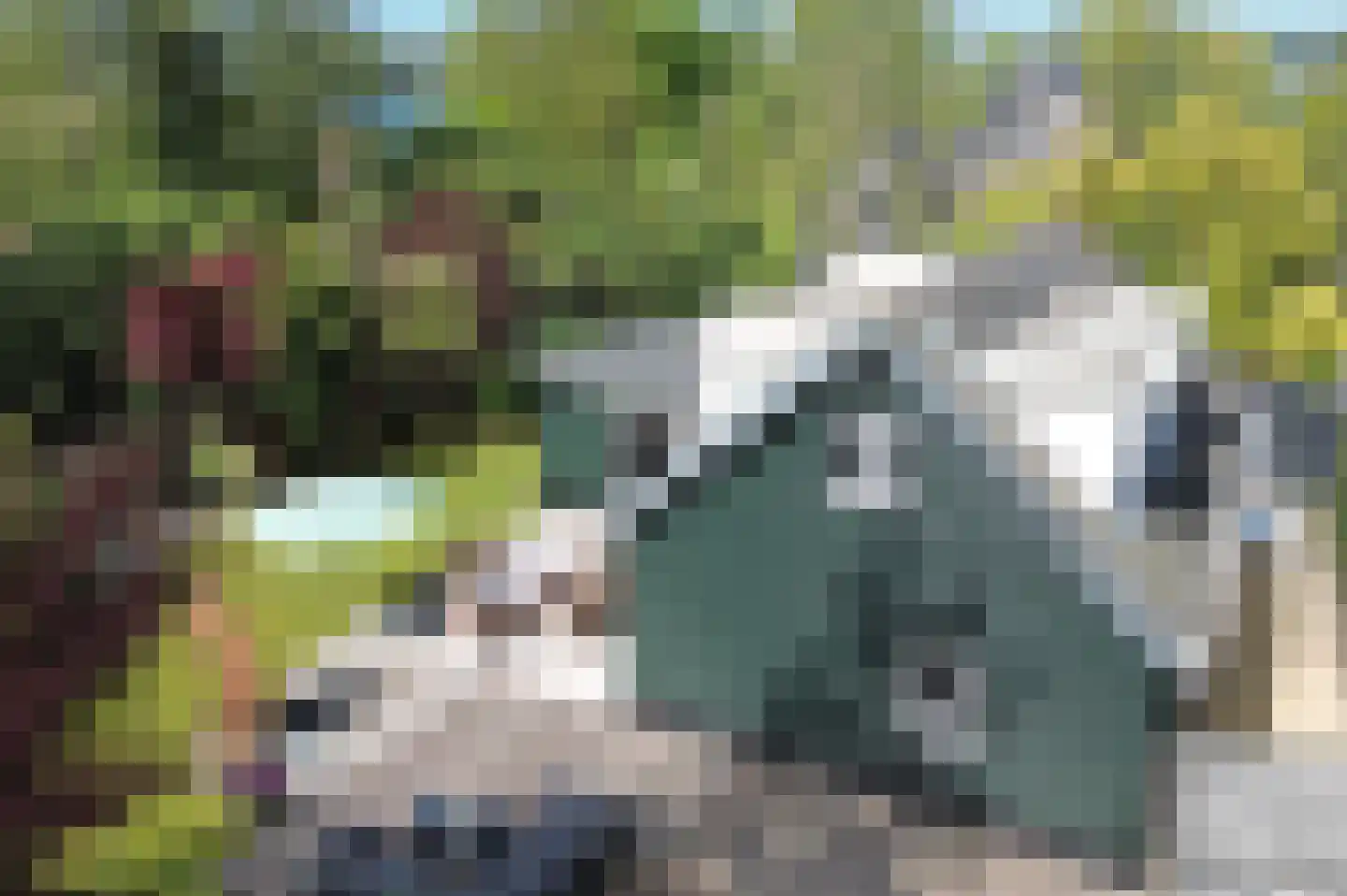 Zuwe 18 v Kortenhoef thumbnail 27