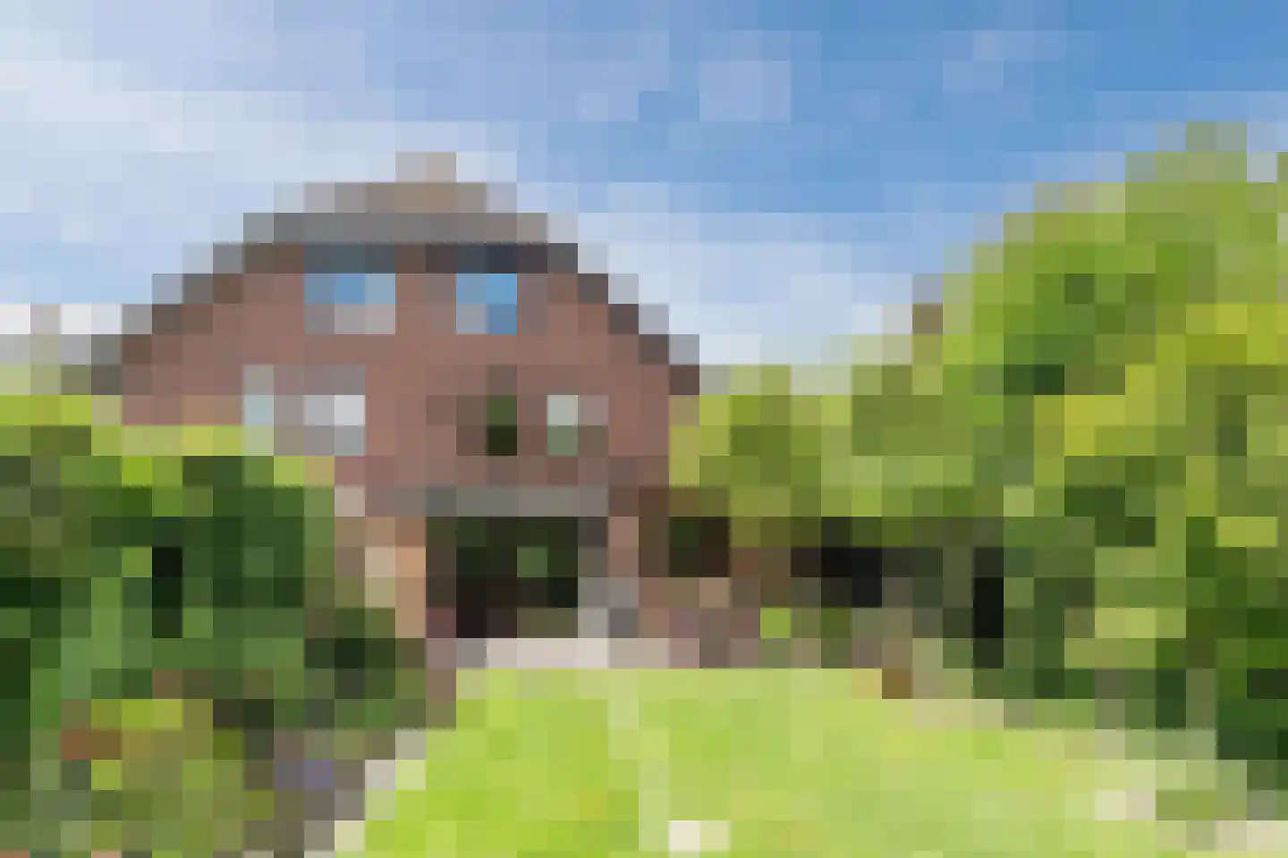 Zuwe 52 Bodegraven thumbnail 20