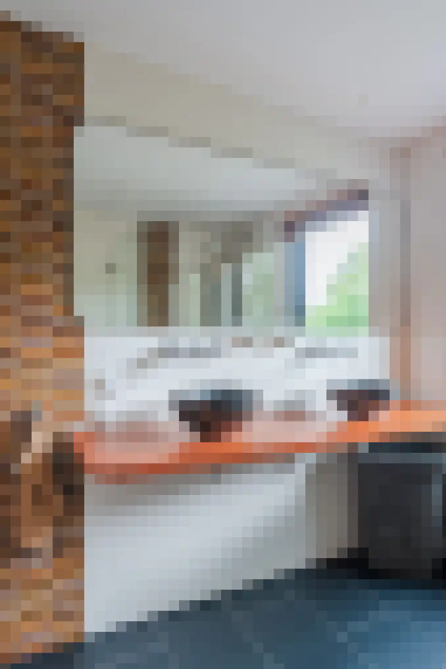 Zuwe 52 Bodegraven thumbnail 34