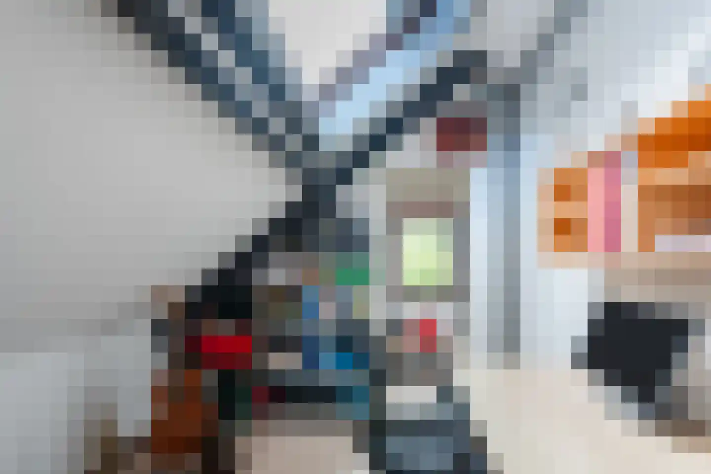 Zuwe 52 Bodegraven thumbnail 37
