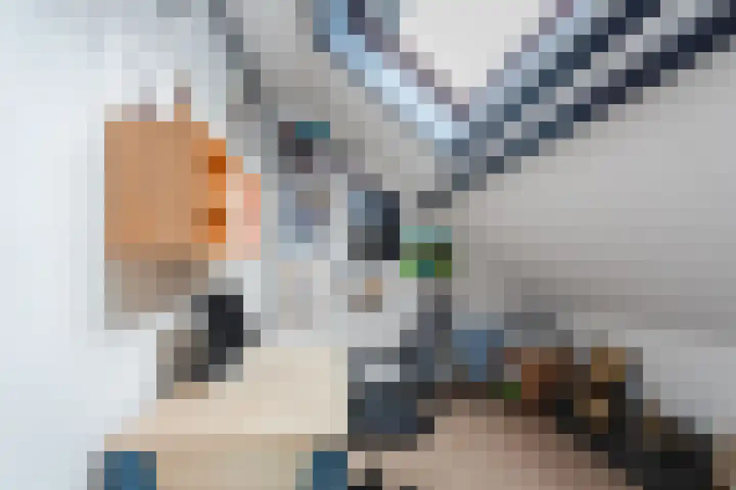 Zuwe 52 Bodegraven thumbnail 38