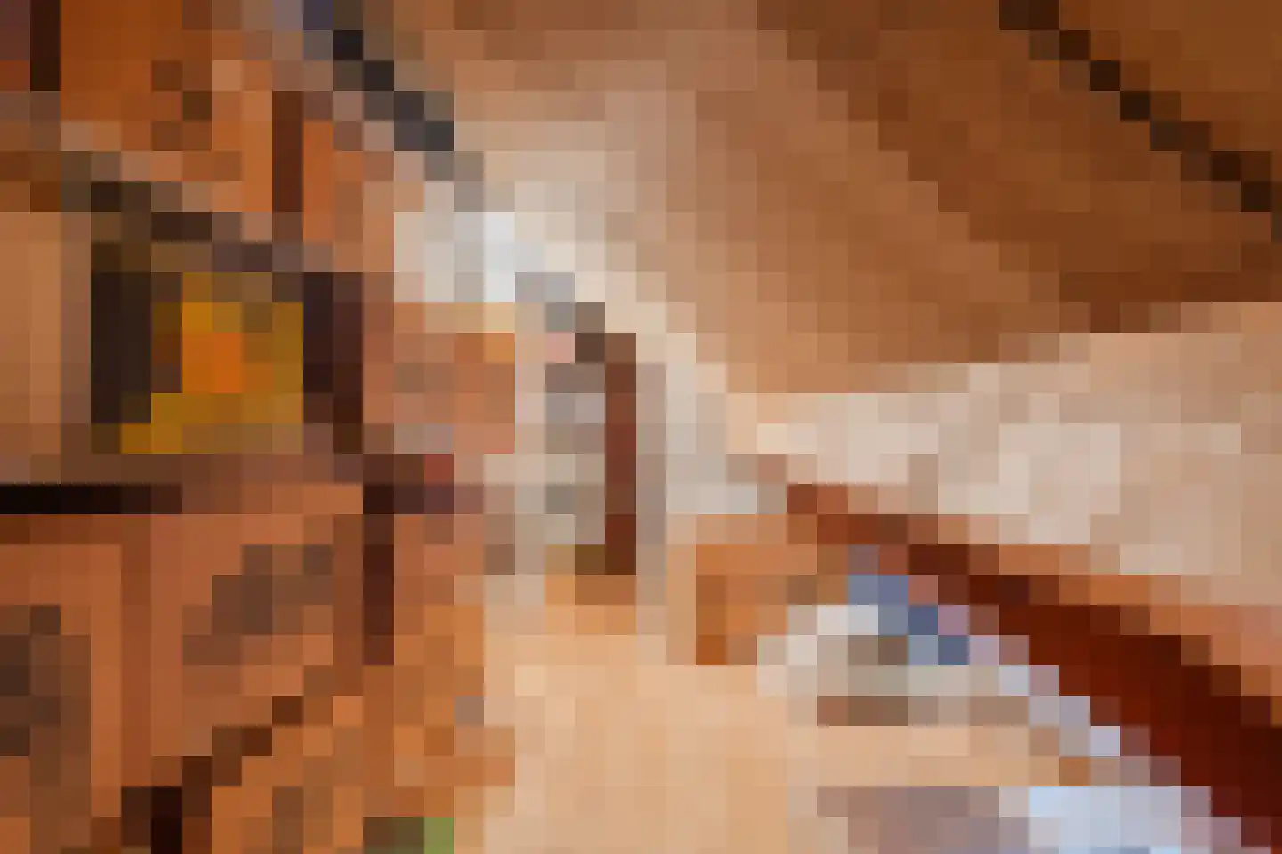 Zuwe 52 Bodegraven thumbnail 52