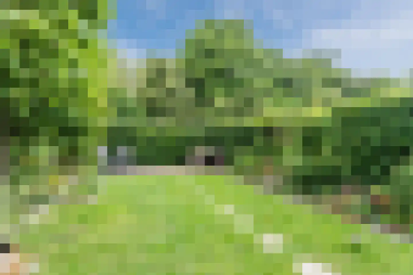Zuwe 52 Bodegraven thumbnail 53