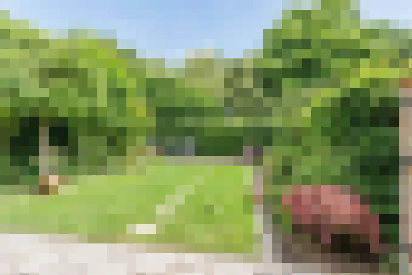 Zuwe 52 Bodegraven thumbnail 54