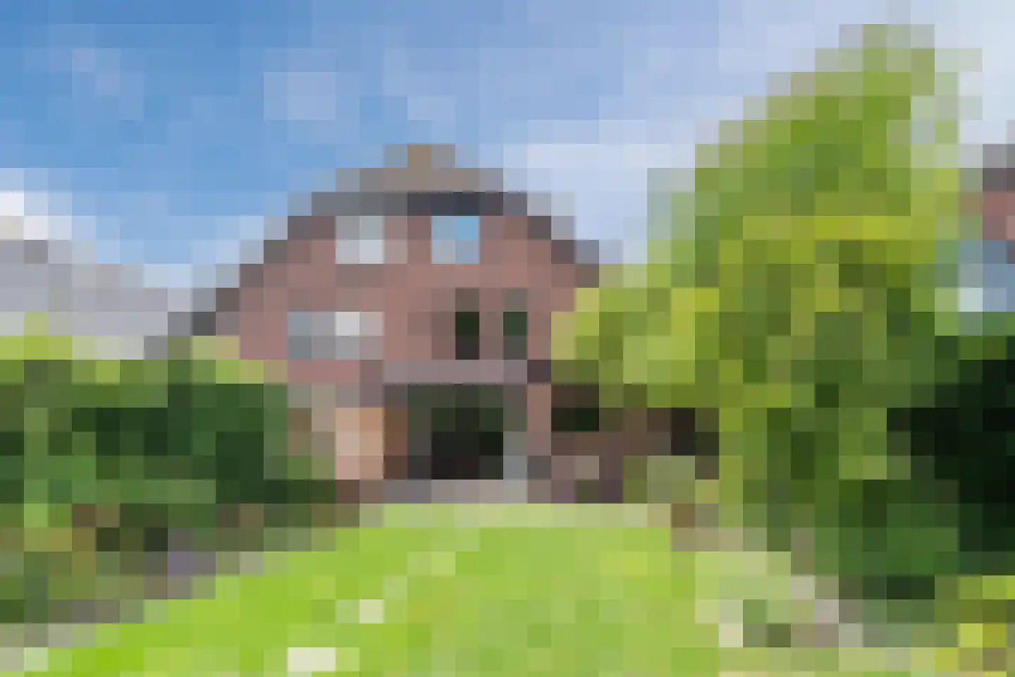 Zuwe 52 Bodegraven thumbnail 56