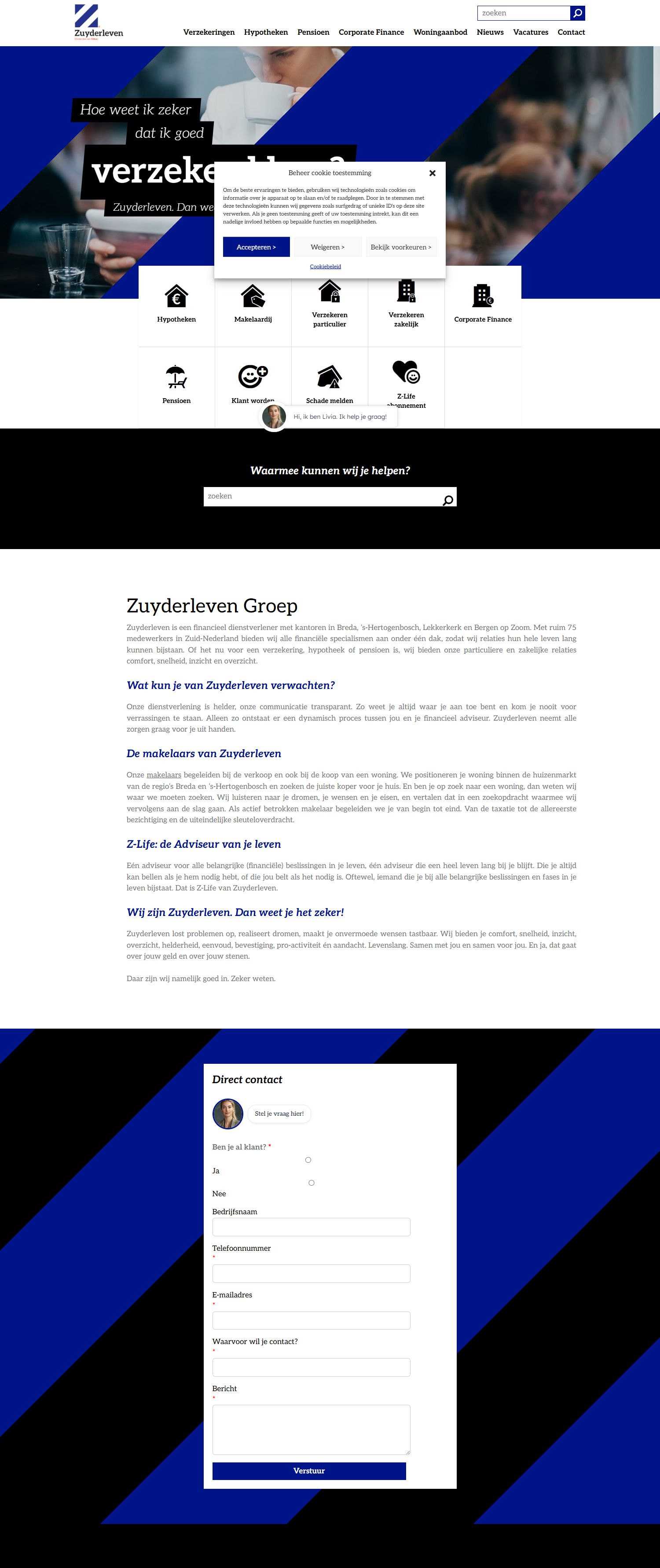 Screenshot der Website von www.zuyderleven.nl
