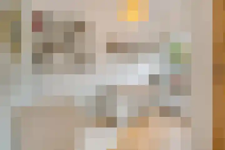 Zuyderloostraat 20 Voorburg thumbnail 24