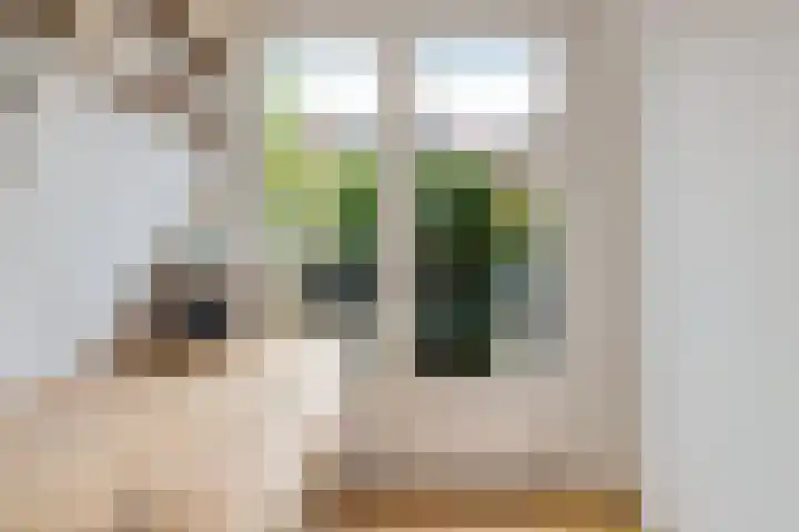Zuyderloostraat 20 Voorburg thumbnail 26