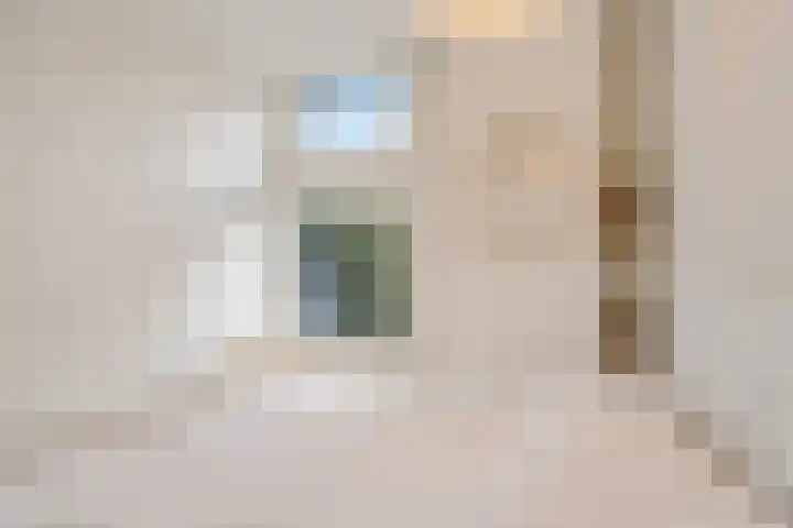 Zuyderloostraat 20 Voorburg thumbnail 29