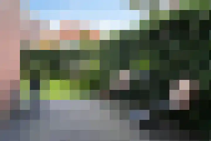 Zuyderloostraat 20 Voorburg thumbnail 30