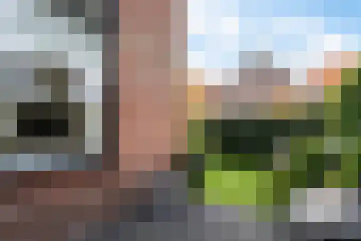 Zuyderloostraat 20 Voorburg thumbnail 31