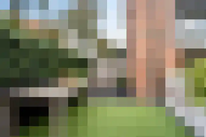 Zuyderloostraat 20 Voorburg thumbnail 34