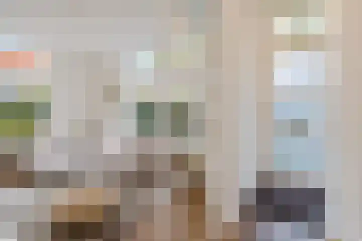 Zuyderloostraat 20 Voorburg thumbnail 8