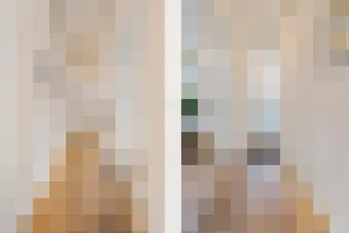 Zuyderloostraat 20 Voorburg thumbnail 9