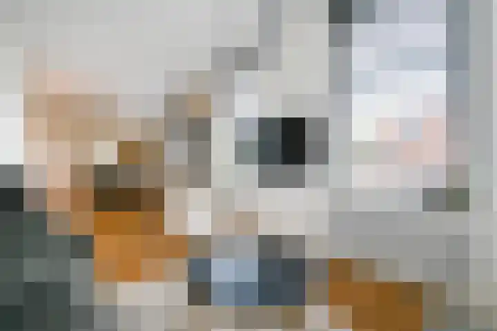 Zuyderloostraat 3 Voorburg thumbnail 14