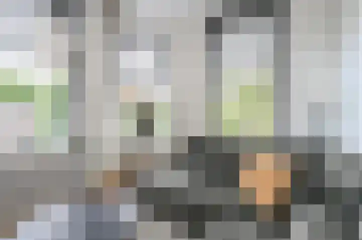 Zuyderloostraat 3 Voorburg thumbnail 15