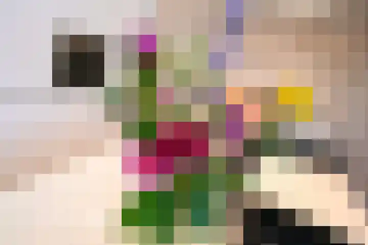 Zuyderloostraat 3 Voorburg thumbnail 20