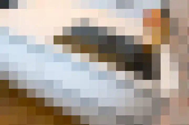 Zuyderloostraat 3 Voorburg thumbnail 23