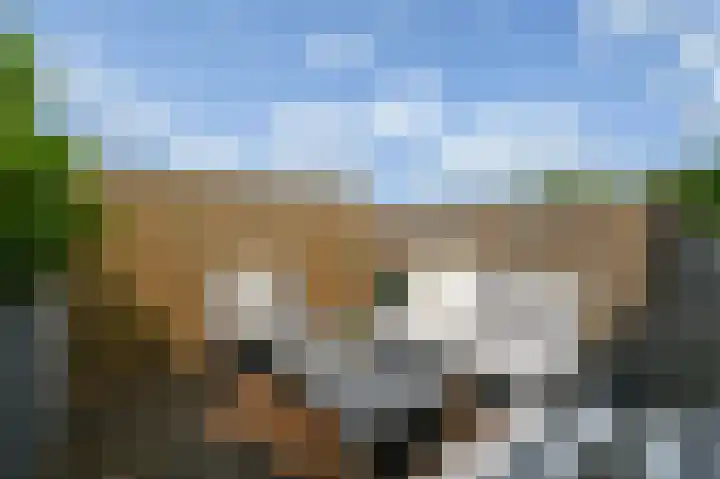 Zuyderloostraat 3 Voorburg thumbnail 27