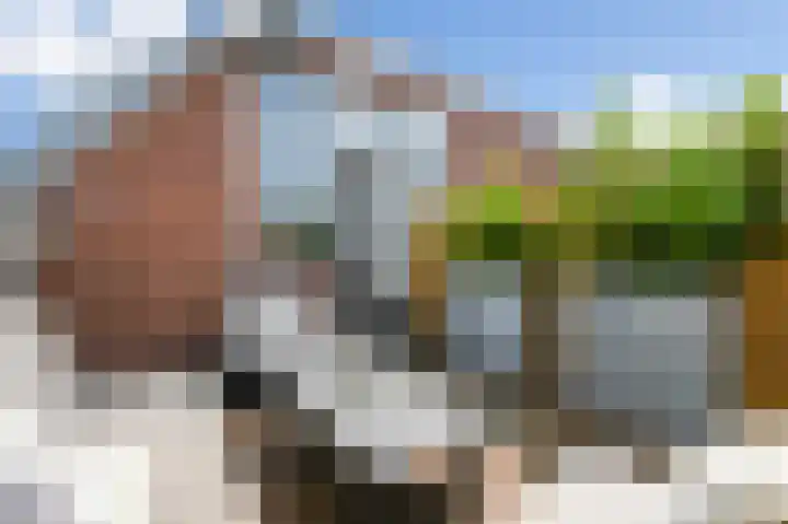 Zuyderloostraat 3 Voorburg thumbnail 29