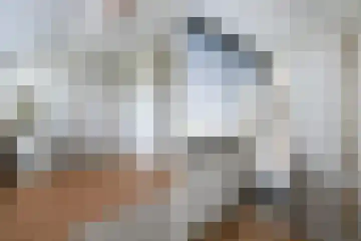 Zuyderloostraat 3 Voorburg thumbnail 36