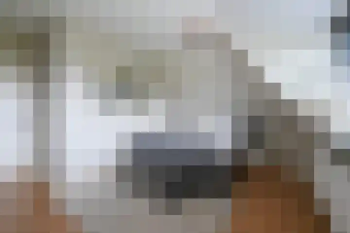 Zuyderloostraat 3 Voorburg thumbnail 37