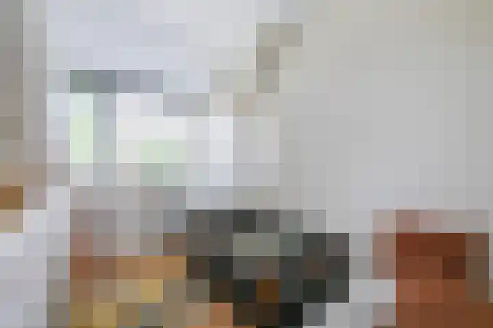 Zuyderloostraat 3 Voorburg thumbnail 39