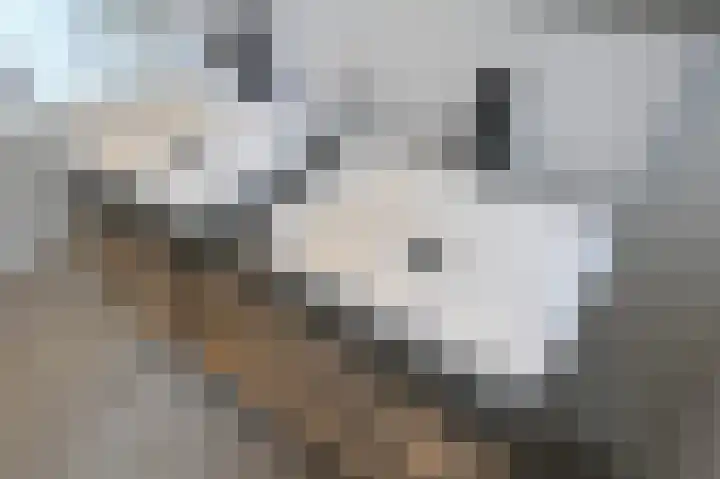 Zuyderloostraat 3 Voorburg thumbnail 42