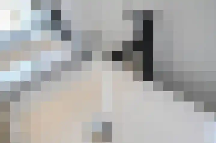Zuyderloostraat 3 Voorburg thumbnail 43