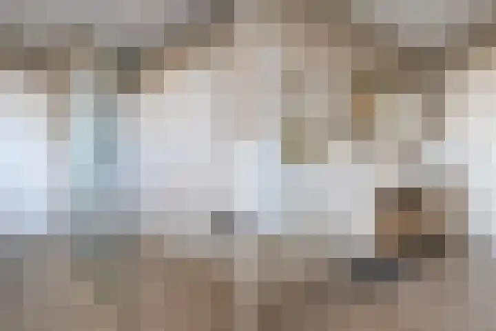 Zuyderloostraat 3 Voorburg thumbnail 45