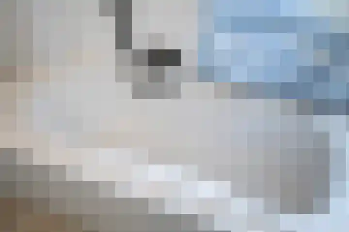 Zuyderloostraat 3 Voorburg thumbnail 47