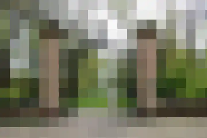 Zuyderloostraat 3 Voorburg thumbnail 48