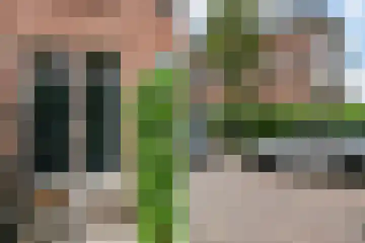 Zuyderloostraat 3 Voorburg thumbnail 7