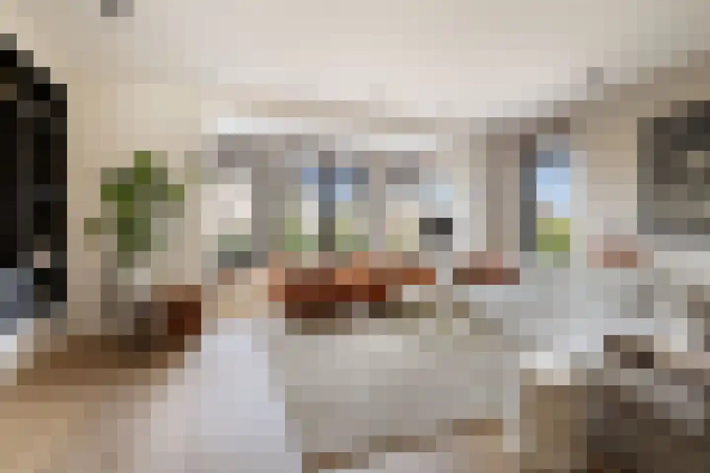 Zuylenhof 45 Weesp thumbnail 12