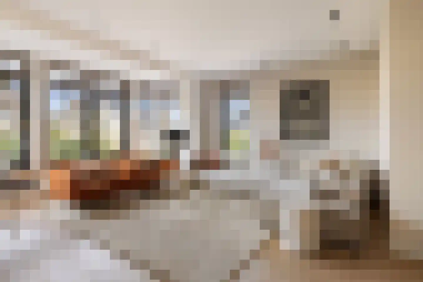 Zuylenhof 45 Weesp thumbnail 13