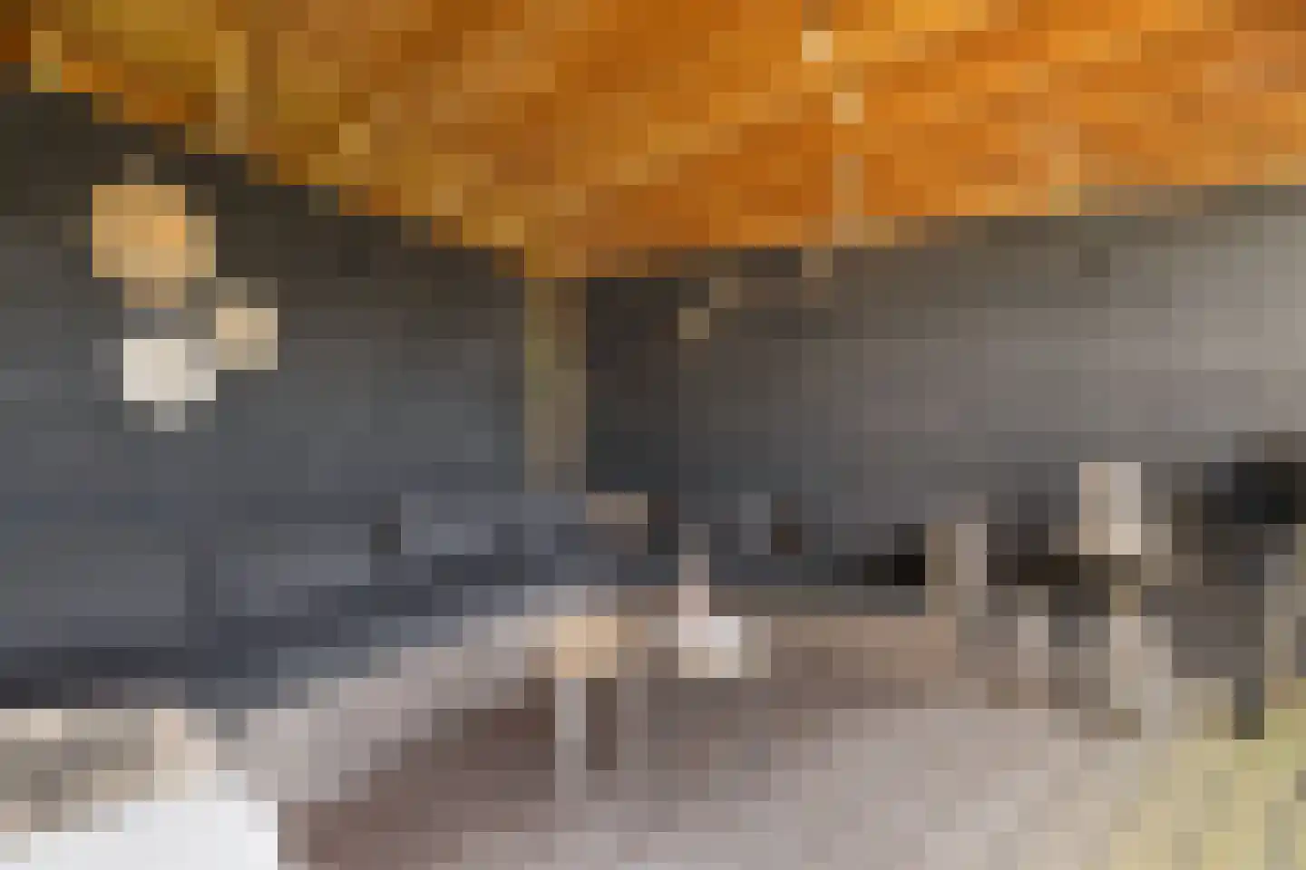 Zuylenhof 45 Weesp thumbnail 23