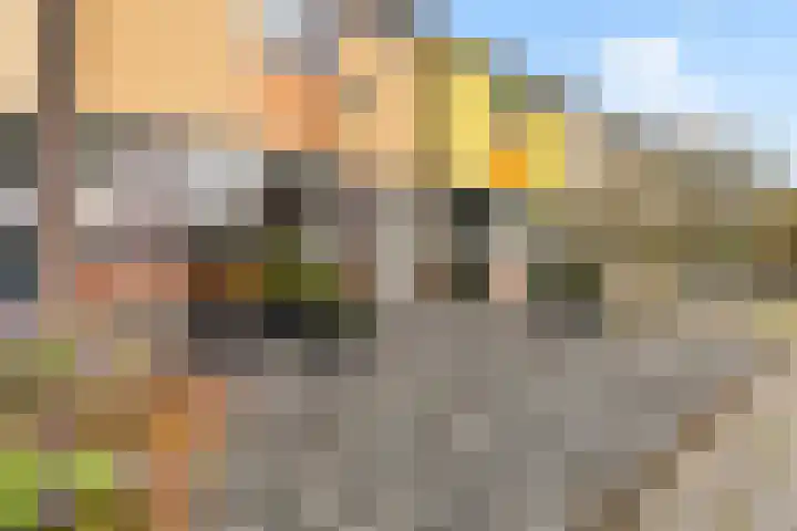 Zw.Kooistraat 38 Stroobos thumbnail 12